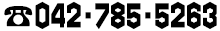 042-785-5263